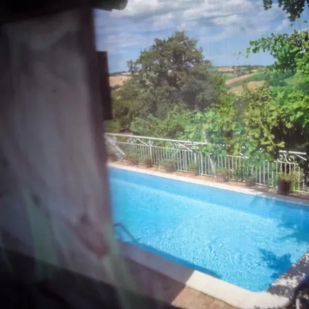 Otus Pool View